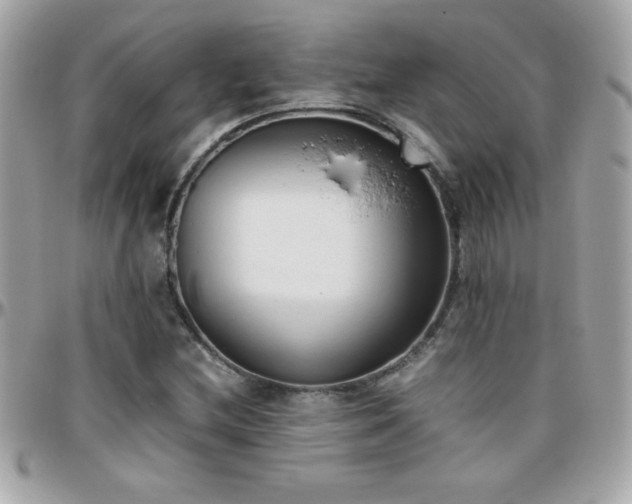 X0000096461212200801241359