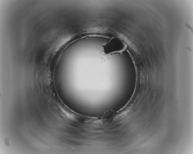 X0000096461213200801241359