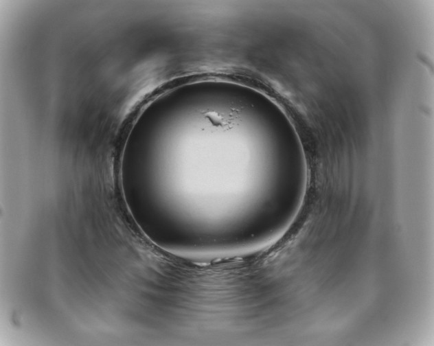 X0000096461214200801241359