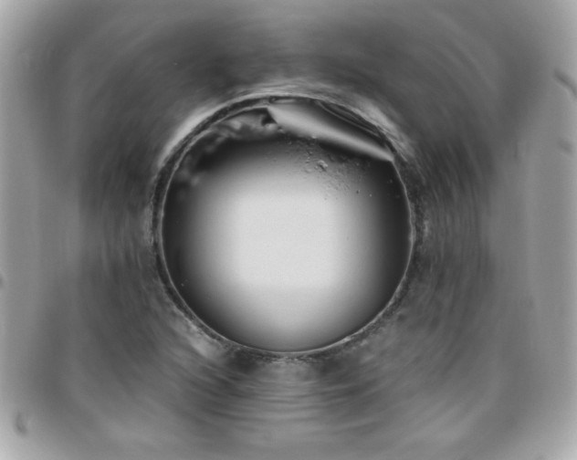 X0000096461216200801241359