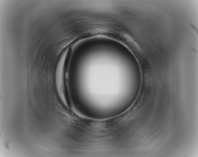 X0000096461217200801241359