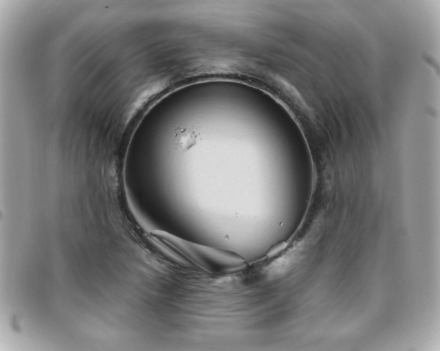X0000096461218200801241359