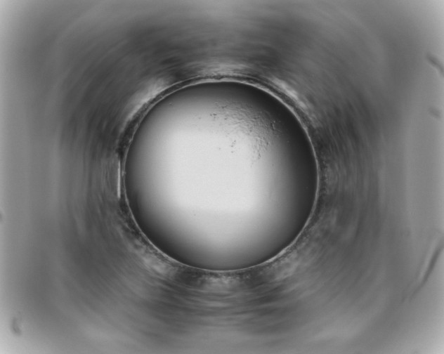 X0000096461219200801241359