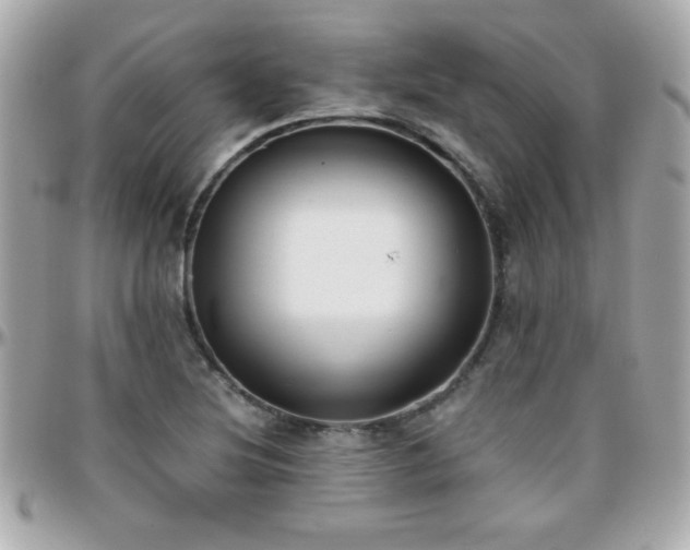 X0000096461220200801241359