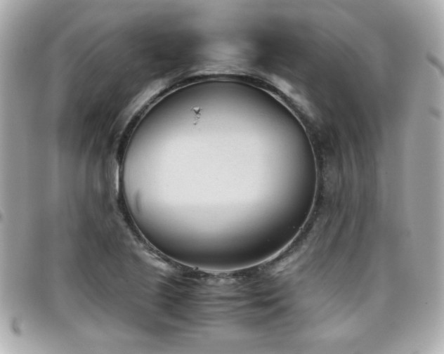 X0000096461221200801241359