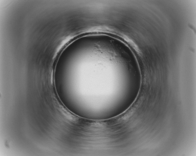 X0000096461224200801241359