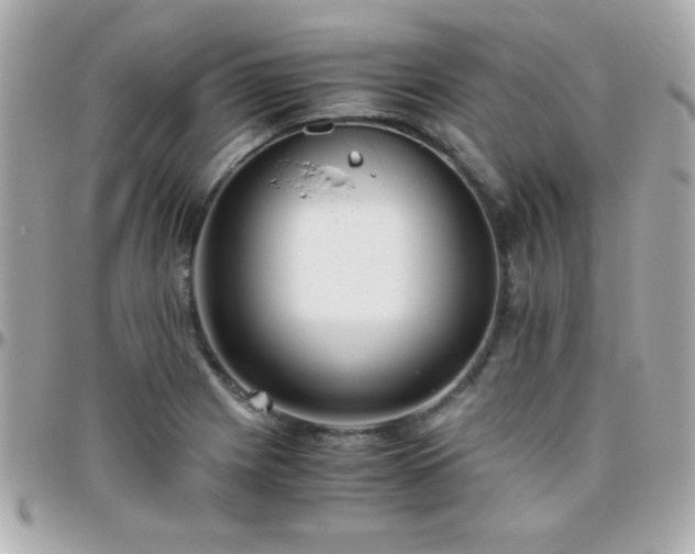 X0000096461225200801241359