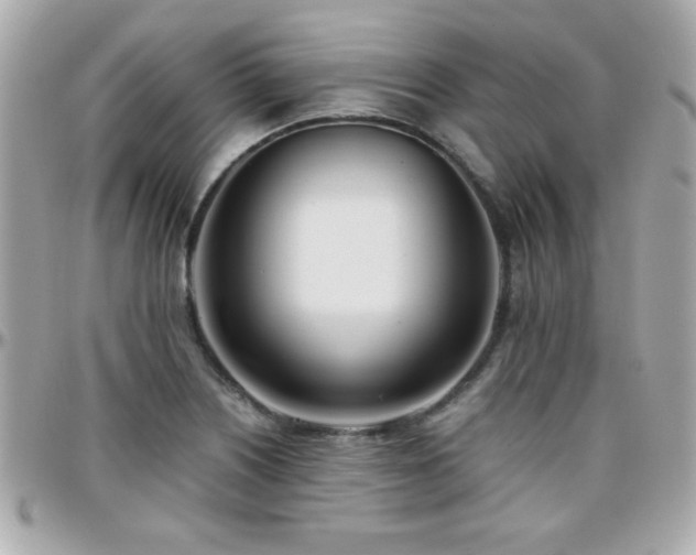 X0000096461226200801241359