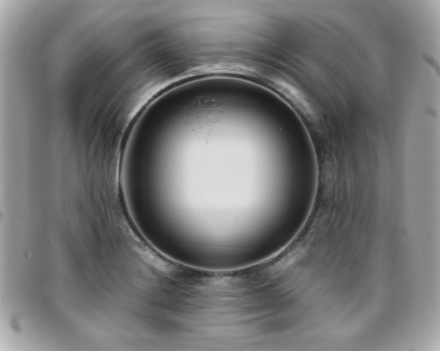 X0000096461228200801241359