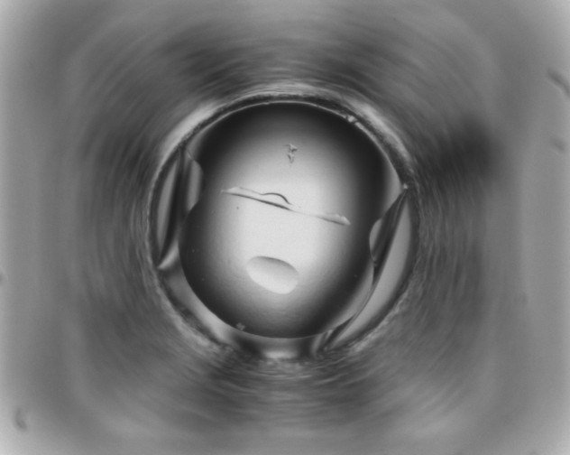 X0000096461229200801241359