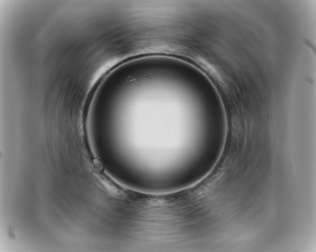 X0000096461230200801241359