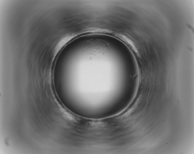 X0000096461231200801241359