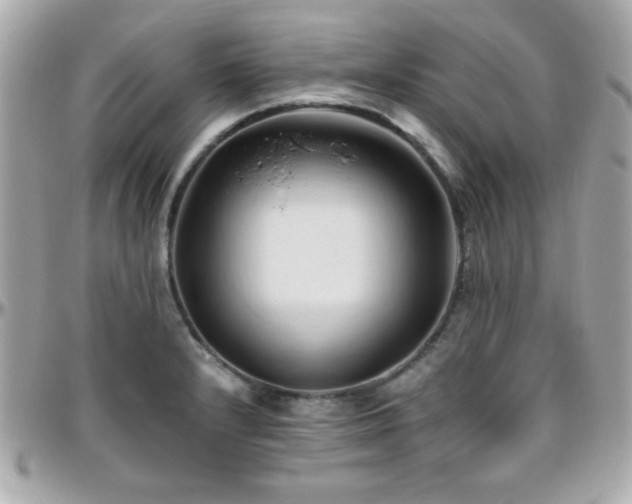 X0000096461232200801241359