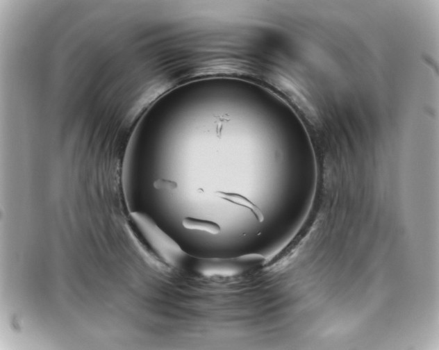 X0000096461233200801241359