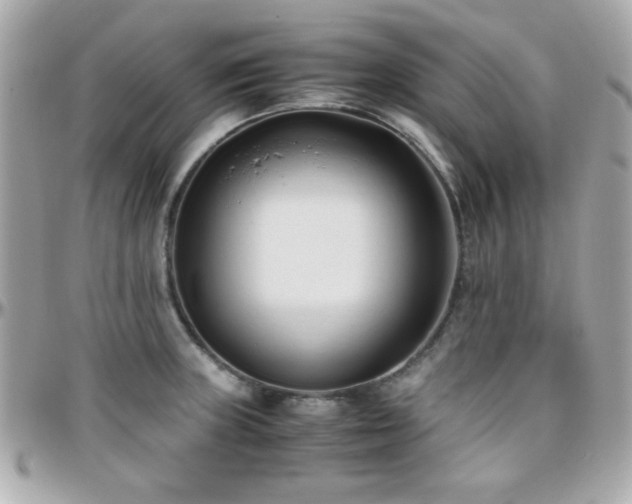 X0000096461235200801241359