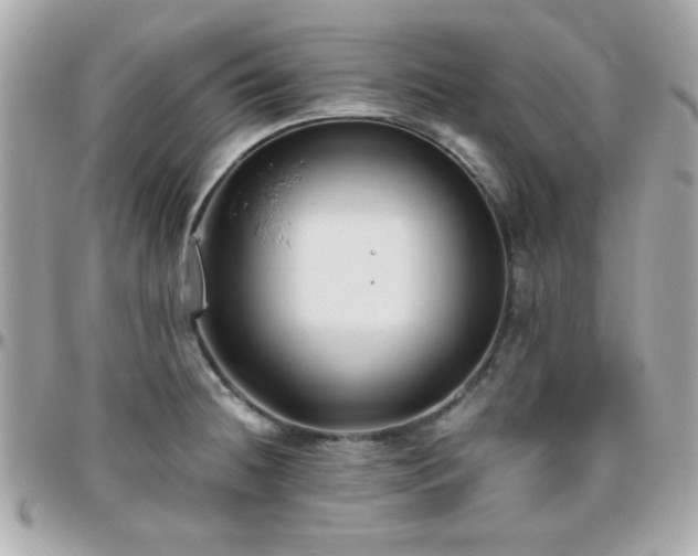 X0000096461236200801241359