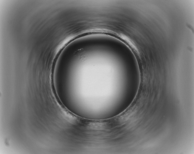 X0000096461237200801241359
