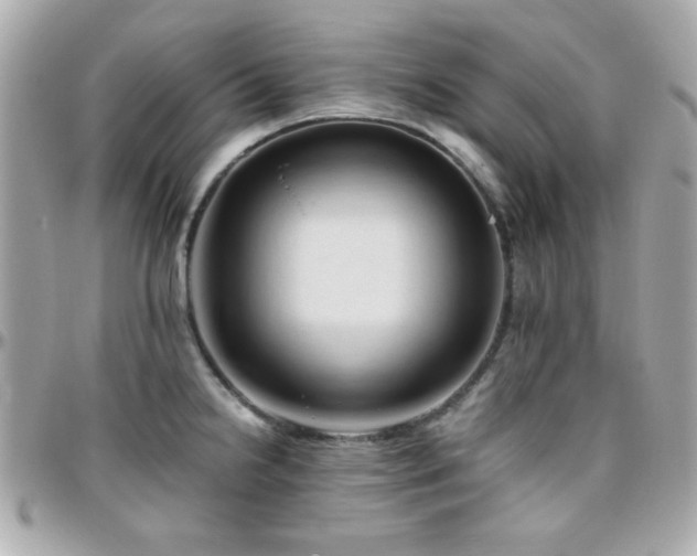 X0000096461238200801241359