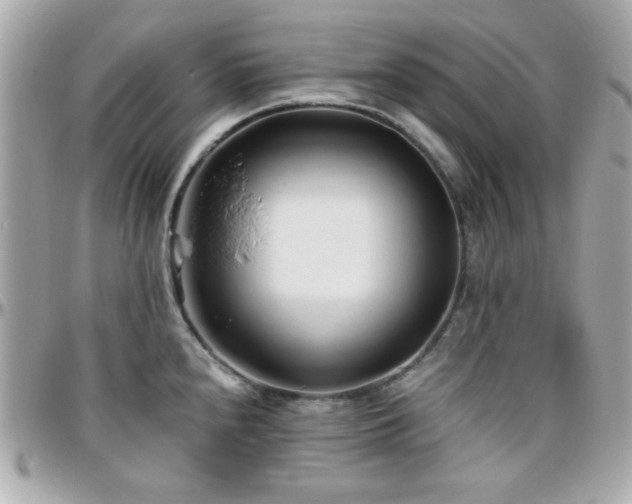 X0000096461240200801241359