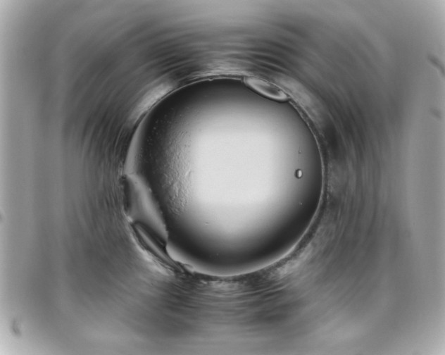 X0000096461241200801241359