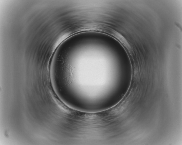X0000096461242200801241359