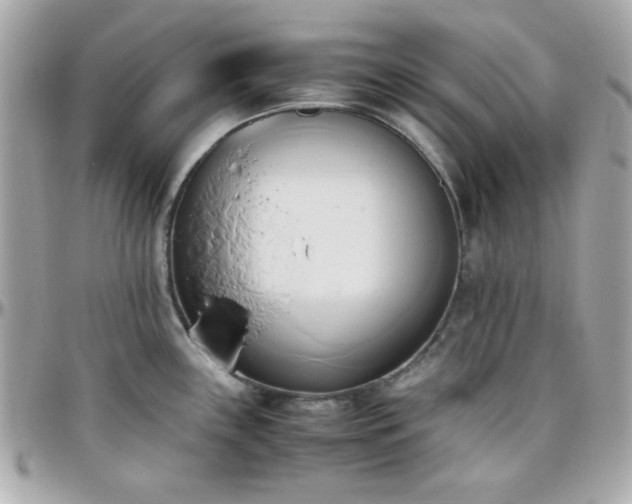 X0000096461243200801241359