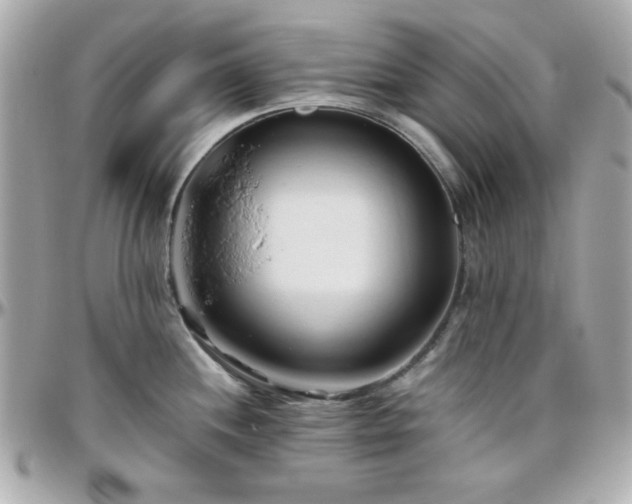 X0000096461244200801241359