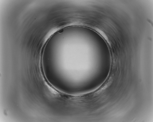 X0000096461245200801241359