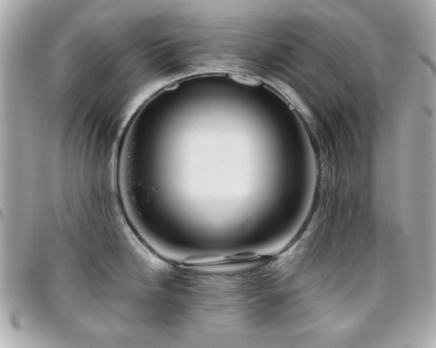 X0000096461246200801241359