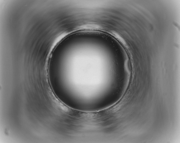X0000096461248200801241400