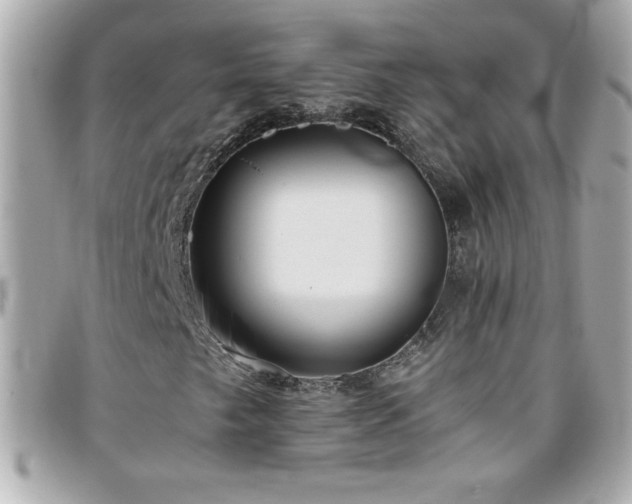 X0000096461249200801241359