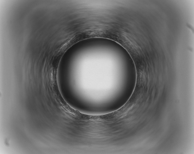 X0000096461250200801241359