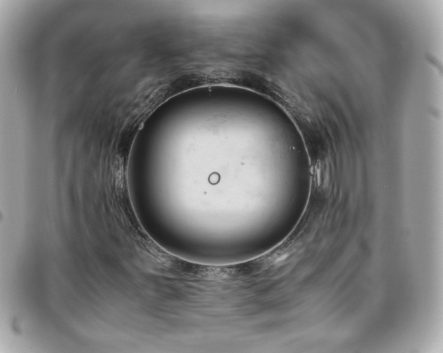 X0000096461251200801241359