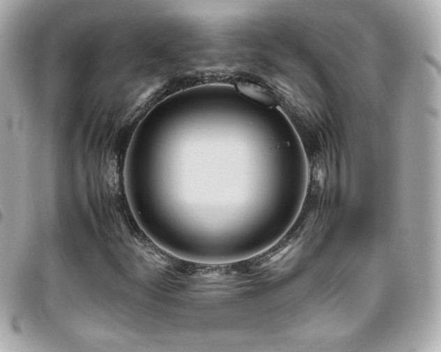 X0000096461252200801241359