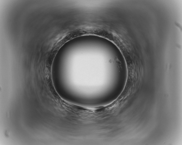 X0000096461253200801241359