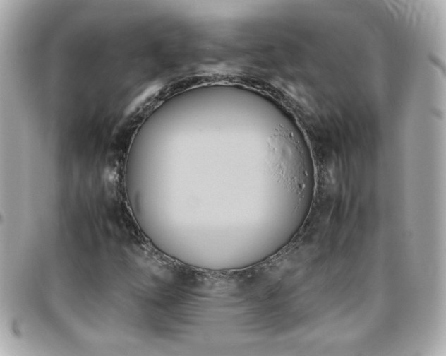 X0000096461254200801241359