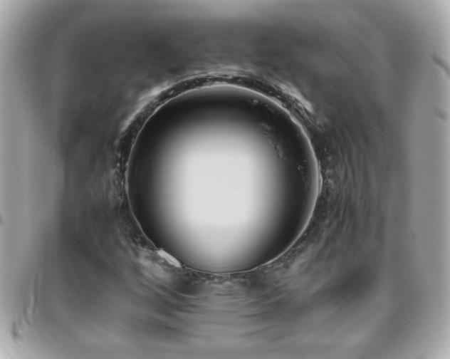 X0000096461256200801241359
