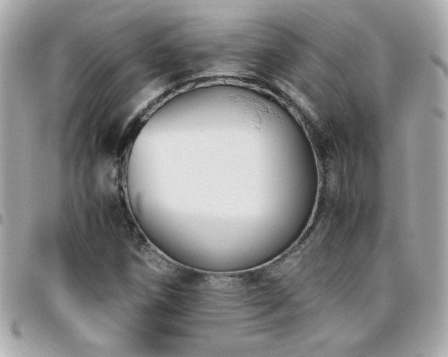 X0000096461258200801241359