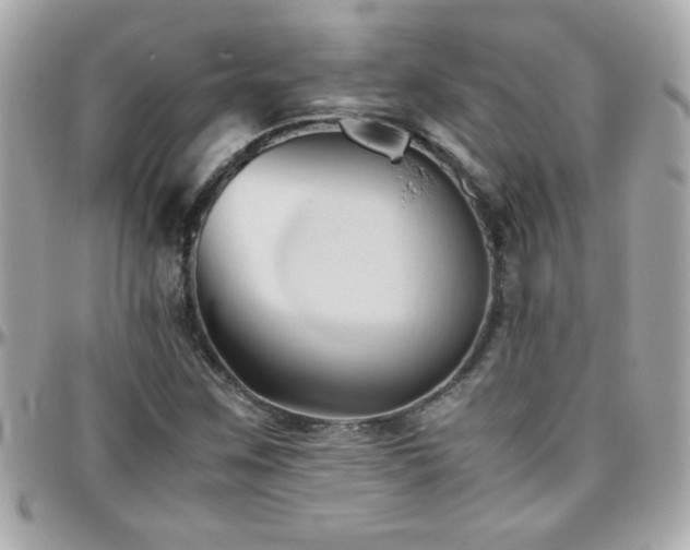 X0000096461259200801241359
