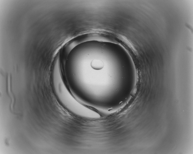 X0000096461260200801241359