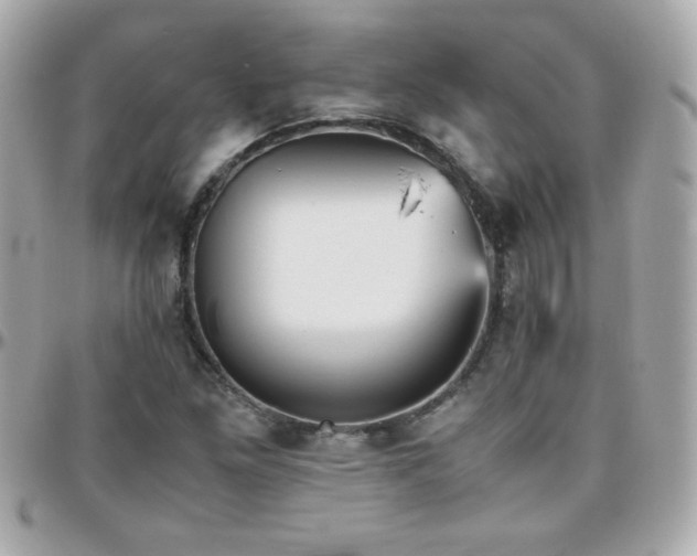 X0000096461261200801241359