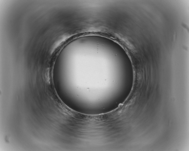 X0000096461262200801241359