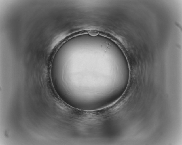 X0000096461263200801241359