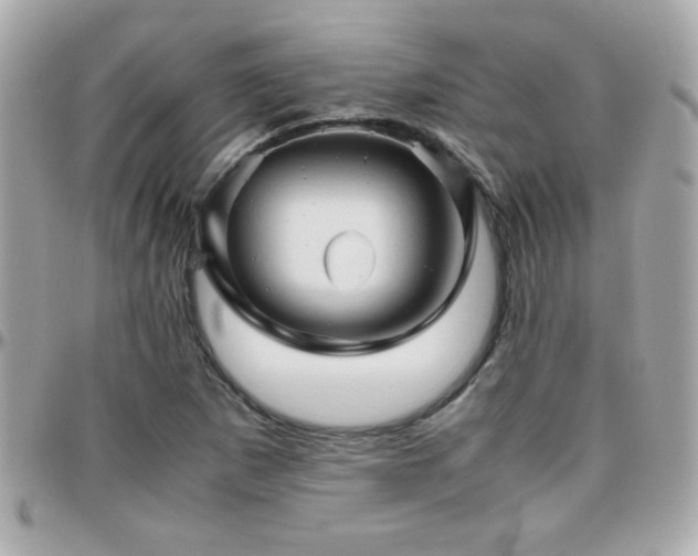 X0000096461265200801241359