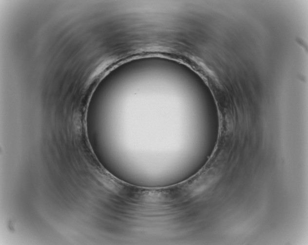 X0000096461266200801241359