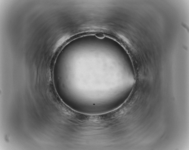 X0000096461267200801241359