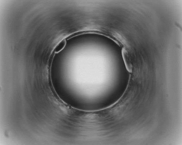 X0000096461268200801241359
