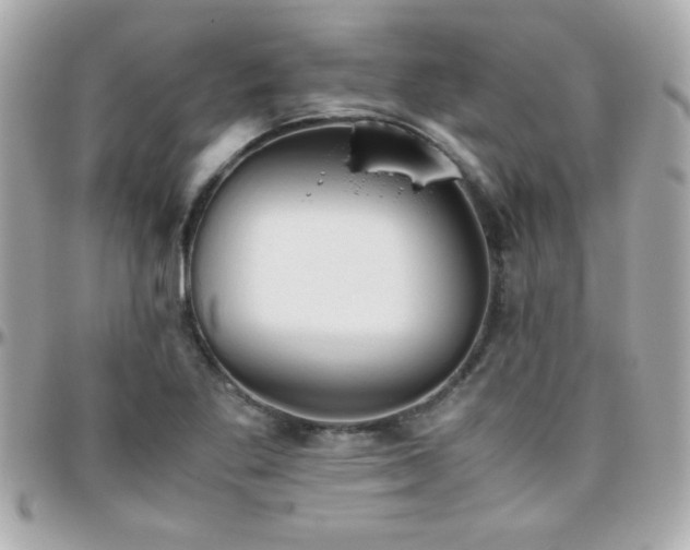 X0000096461269200801241359