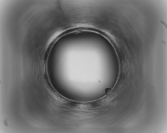X0000096461271200801241359