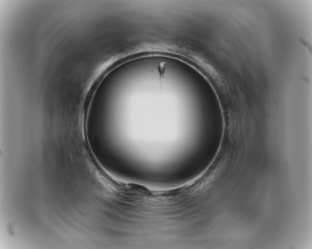 X0000096461272200801241359